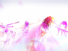 Screenshot_2018-11-14 MovingSensing_Sequence05