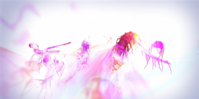 Screenshot_2018-11-14 MovingSensing_Sequence05