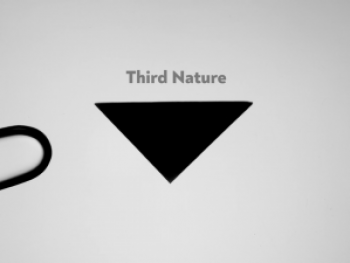 Screen Shot 2020-03-07 at 12.33.22