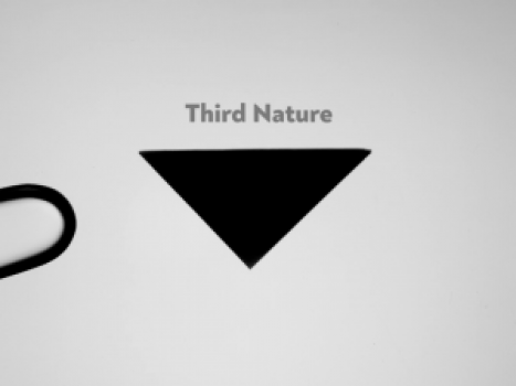 Screen Shot 2020-03-07 at 12.33.22